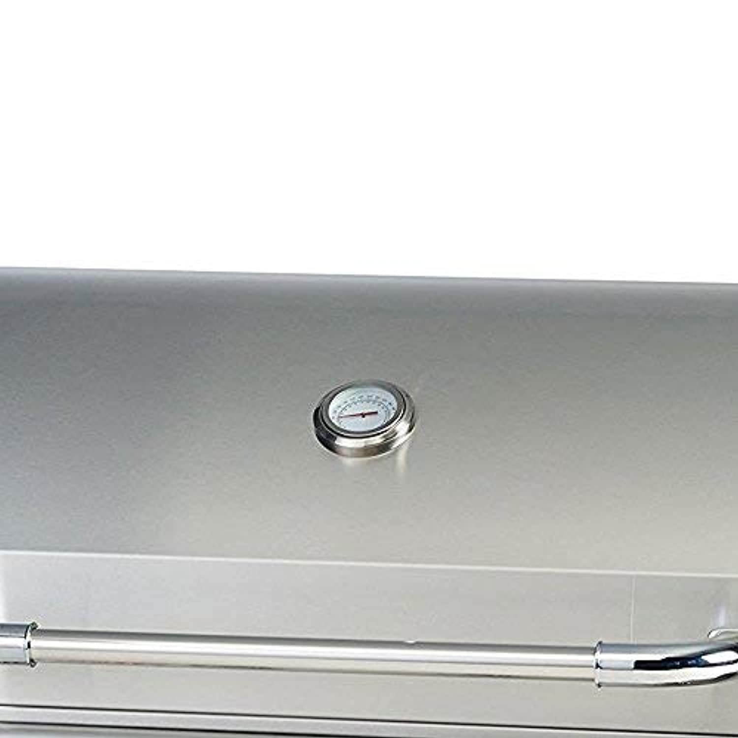 Bull Outdoor Products 26039 Natural Gas Outlaw Drop-In Grill Head