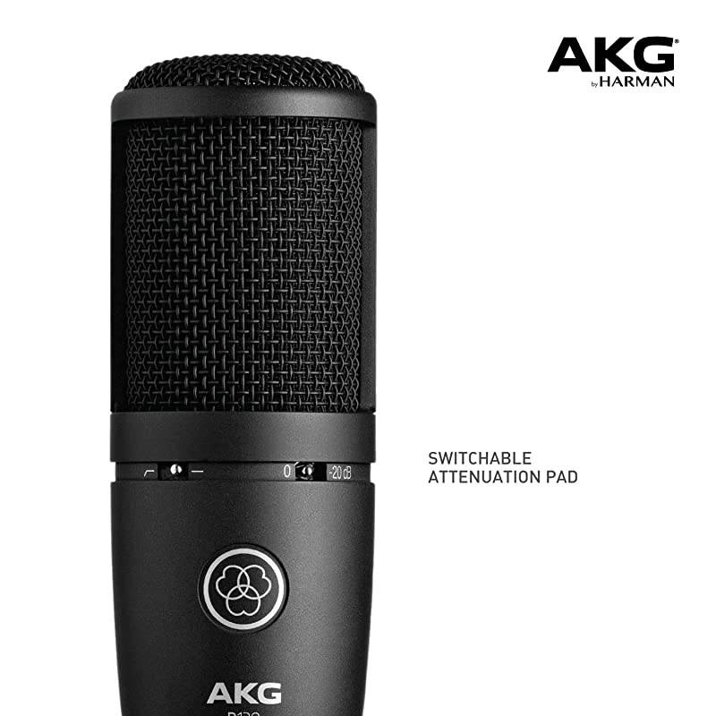 P120 HighPerformance General Purpose Recording Microphone