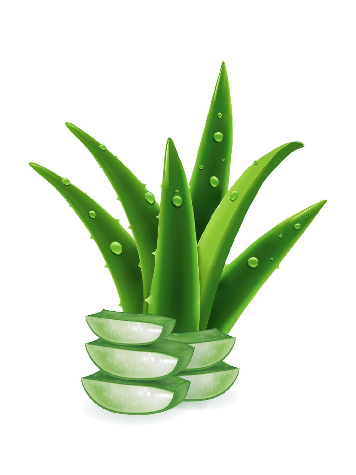 CLEAN AND DRY Intimate Wash - 189 ml