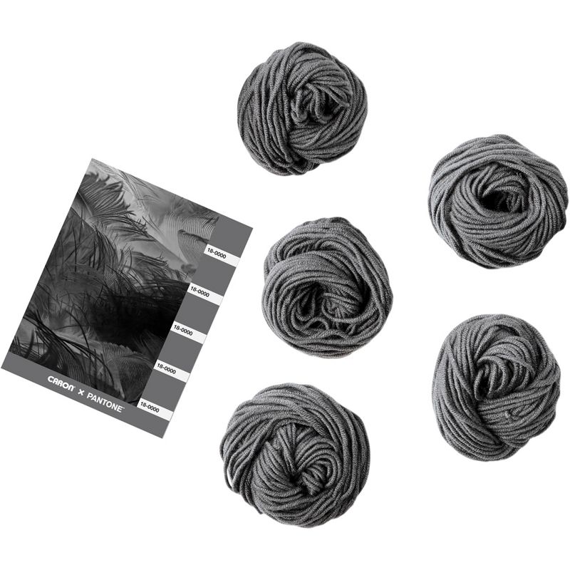Caron X Pantone Yarn-Dane Gray