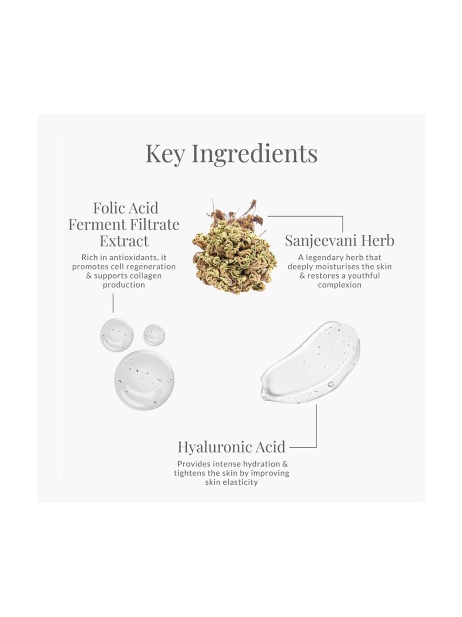 Forest Essentials Anti Ageing Sanjeevani Beauty Elixir Moisturising Day Cream - 15 gm