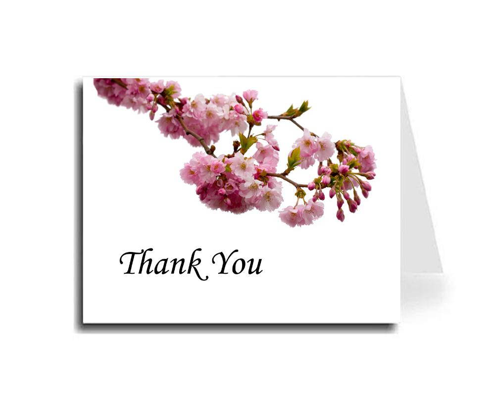 Artisan Decor Pink Blossoms Thank You Card Set of 5 (Monotype Corsiva Font)