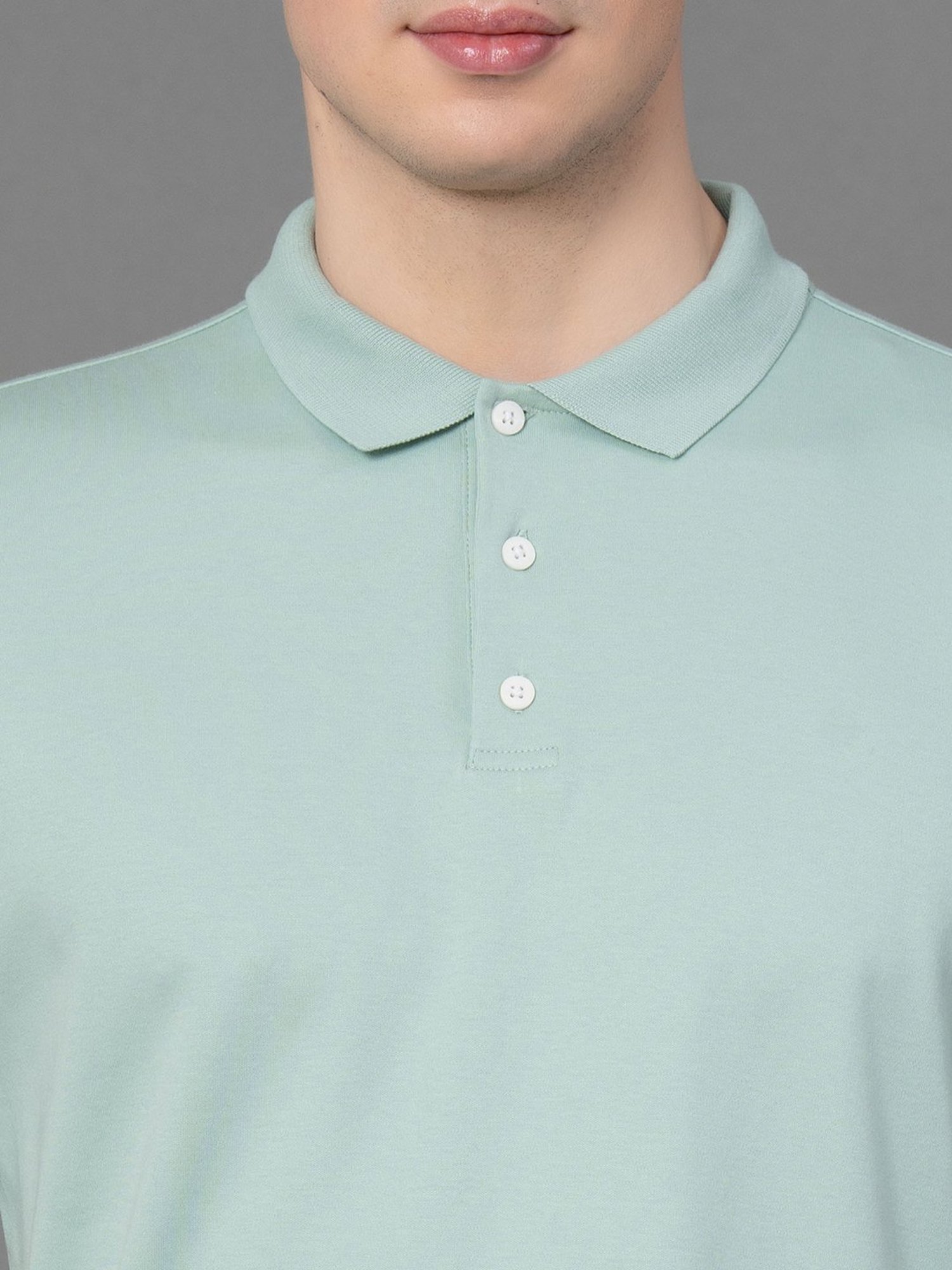 Red Tape Light Green Regular Fit Cotton Polo T-Shirt