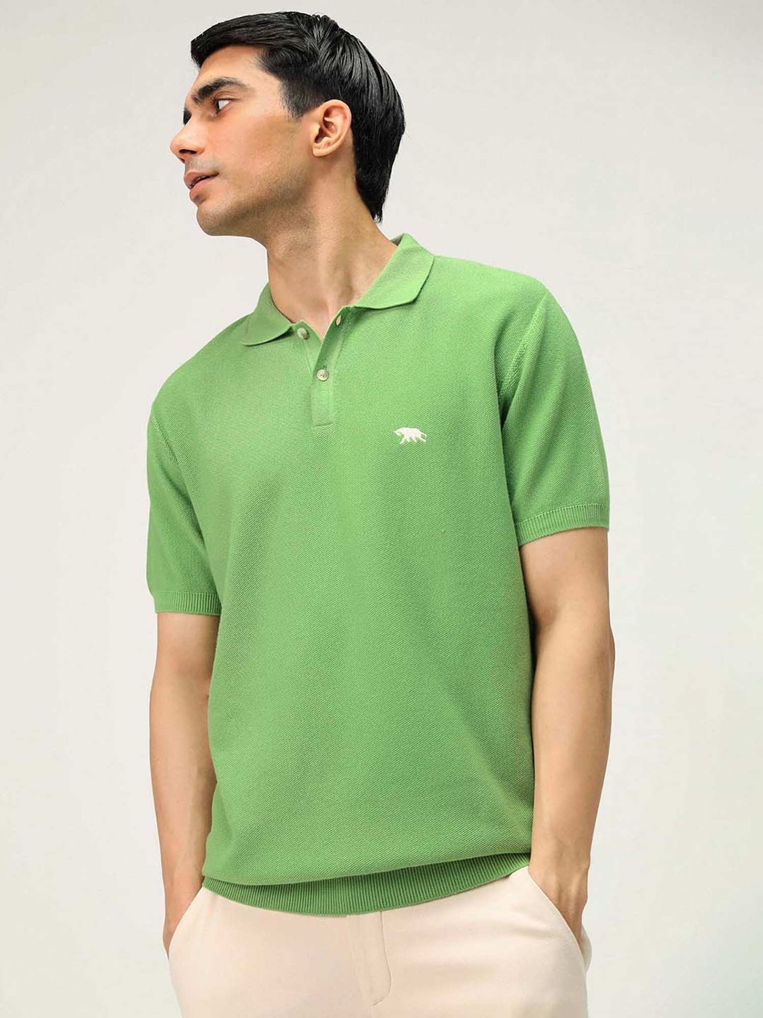 ANDAMEN Green Regular Fit Textured Polo T-Shirt