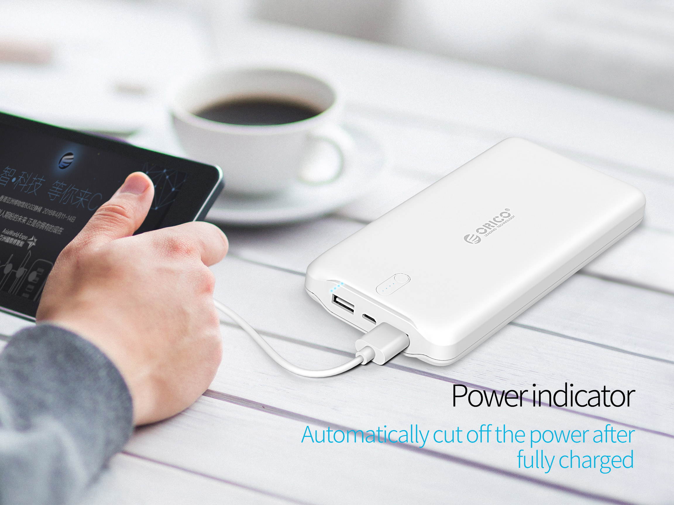 ORICO 20000mAh High Capacity Battery Charger Dual USB Port External Mobile Battery Pack, Battery Power Backup for iPhone 7 Plus/6s, iPad, iPod, Samsung Galaxy, Cell Phones, Tablet