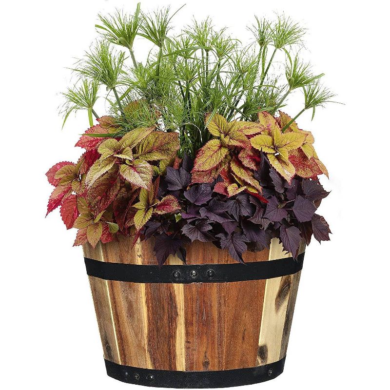 Set of 3 Acacia Wood Barrel Planters - Classic Home and Garden