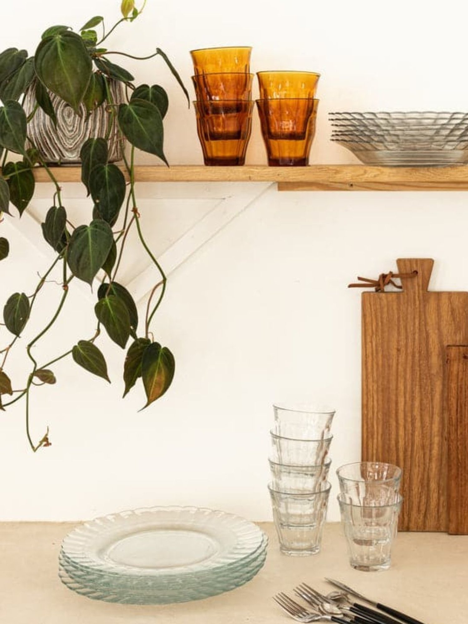 Pure Home and Living Transparent Glass Textured Dinner Plates