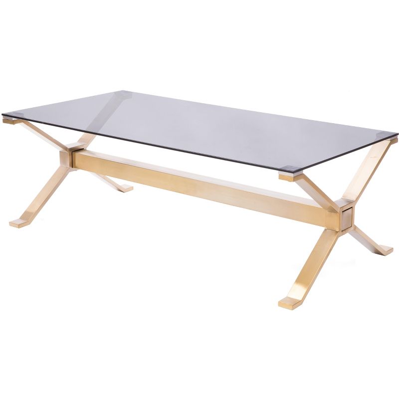 Bold Tones Rectangular Gold Stainless Steel Metal Smoked Glass Modern Coffee Table