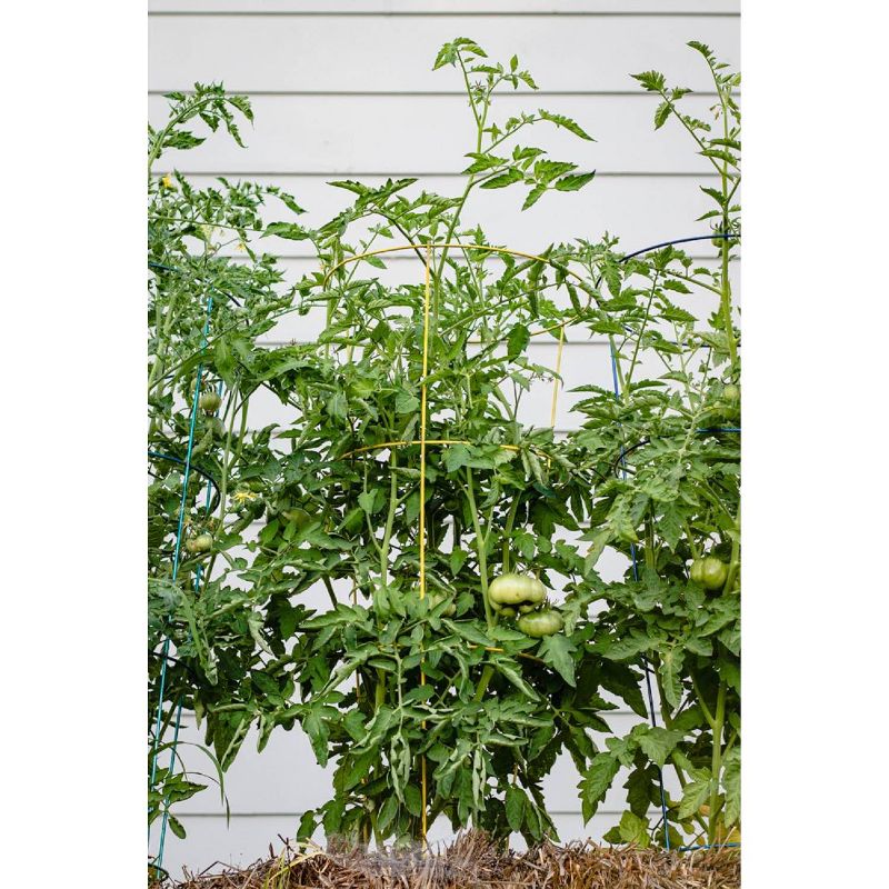 14"x42" Metal Heavy Duty Plant  5pk - Yellow - Glamos Wire