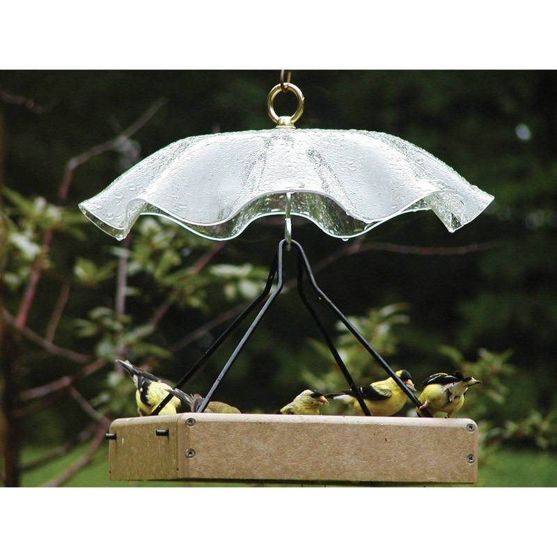 Birds Choice Small Rectangular Hanging Tray Bird Feeder with Weather Guard Kit