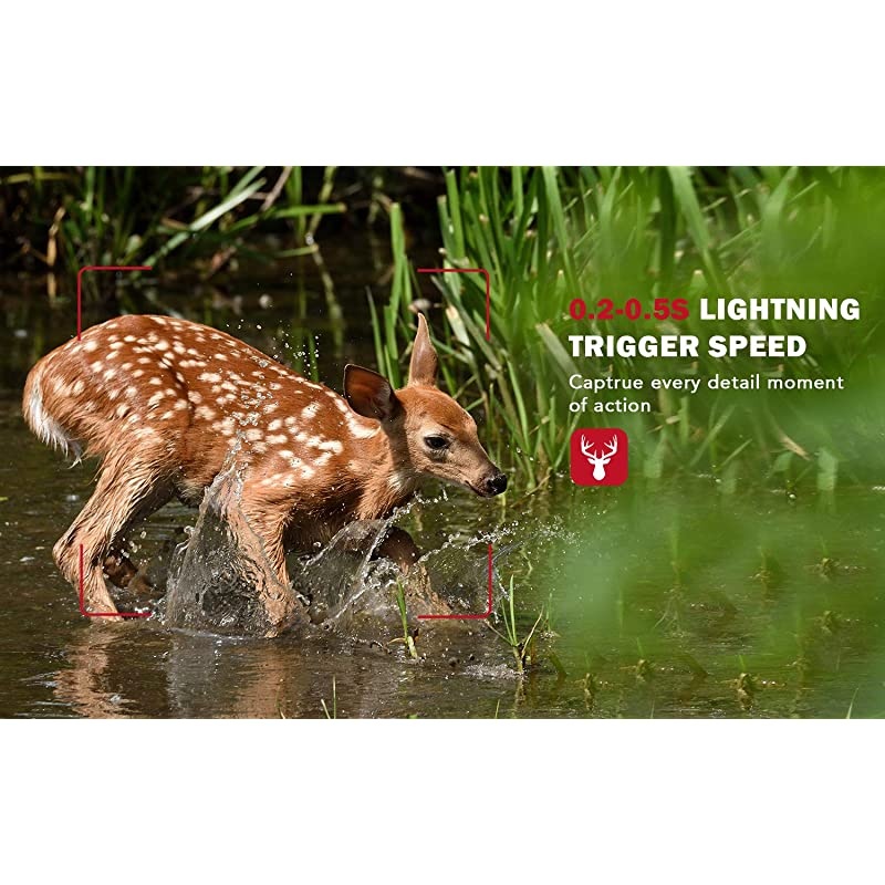 Security Camera WiFi IP Home CameraR2C 1080P HD Baby Monitor Wireless Pet Camera with AI Human Sound Detection Free Cloud Included 2Way AudioWorks with Alexa PanTilt Night Vision