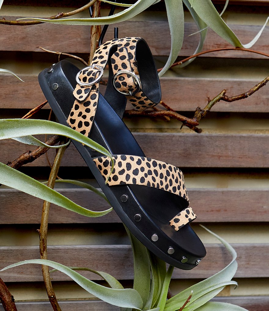 GB Main-Stage Leopard Haircalf Studded Toe-Loop Sandals