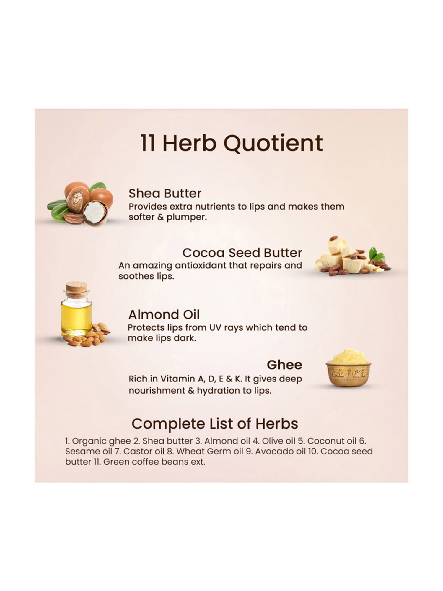 Blue Nectar Shubhr Coffee Lip Balm - 15 gm