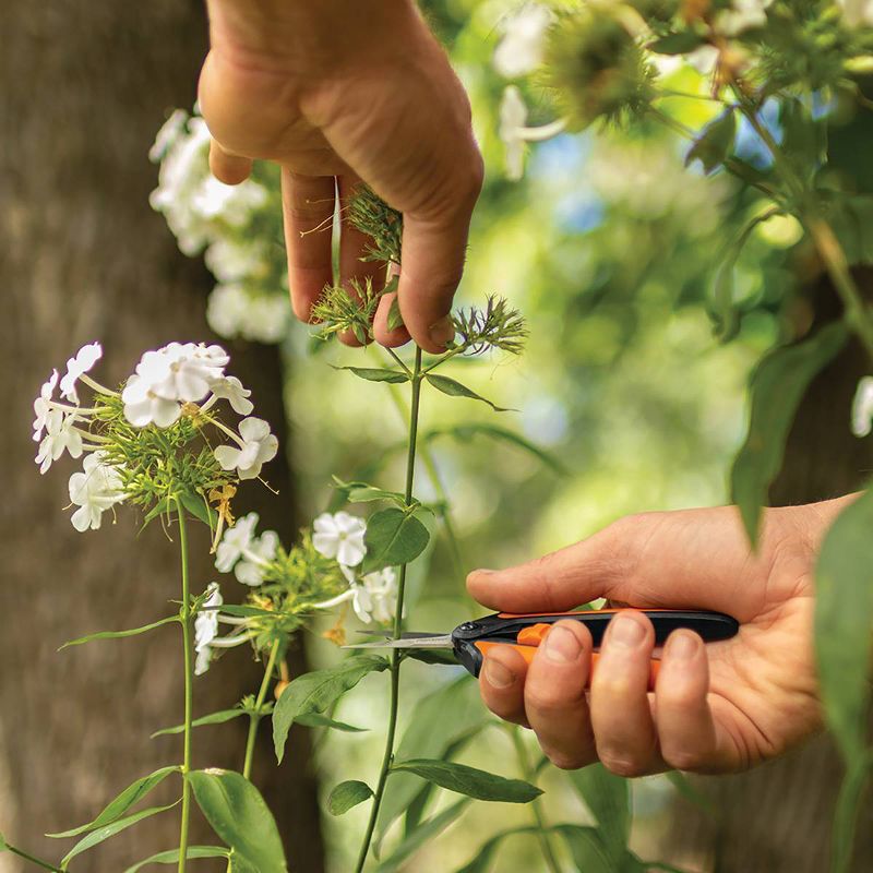 Fiskars Micro-Tip Pruning Snips