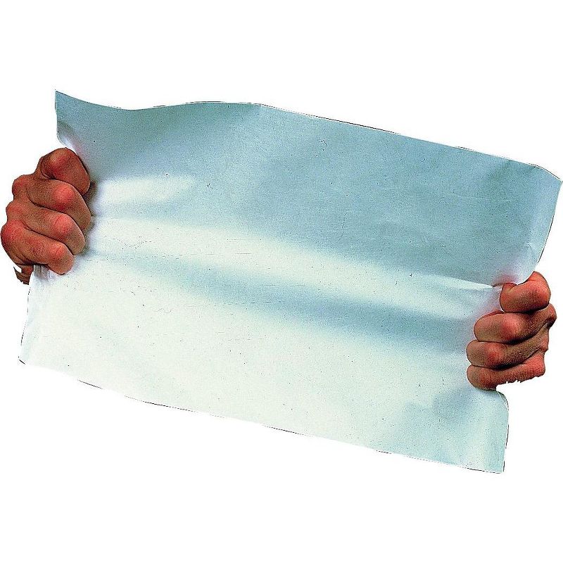 Survivor Tyvek Mailer #55 6 x 9 White 100/Box R1320