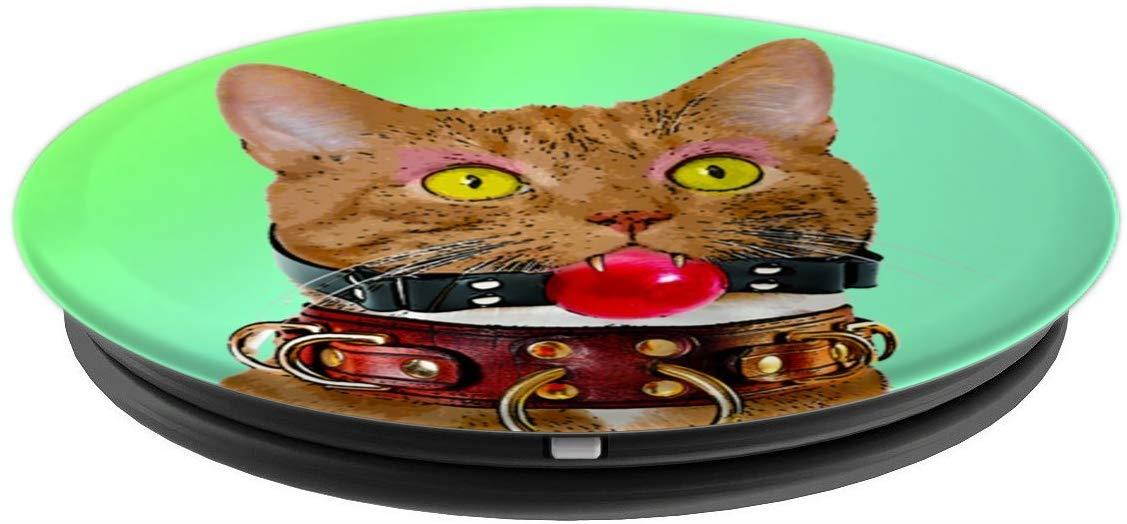 Slave Kitty Cat with Ball Gag