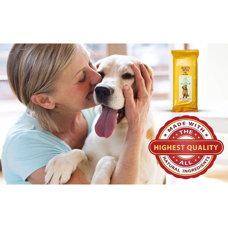 PL360 Shampoo + Conditioner For Dogs -  16oz