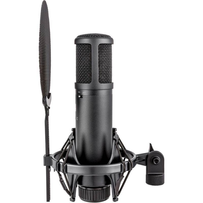 sE Electronics sE2200 Large Diaphragm Condenser Microphone