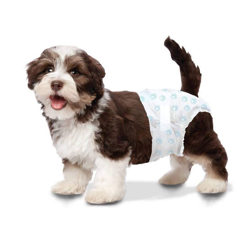 Four Paws Wee-Wee Disposable Dog Diapers - 12ct - XS