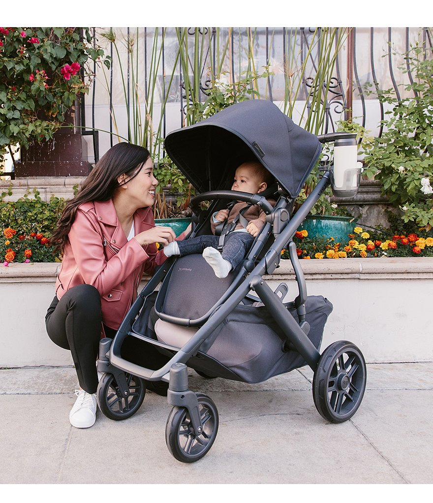 VISTA V2 Convertible Standard Stroller with Bassinet
