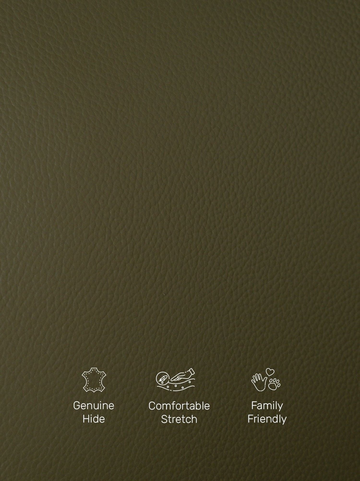 Durian Amanda Olive Green Leather 2 Seater Reclining Sofa