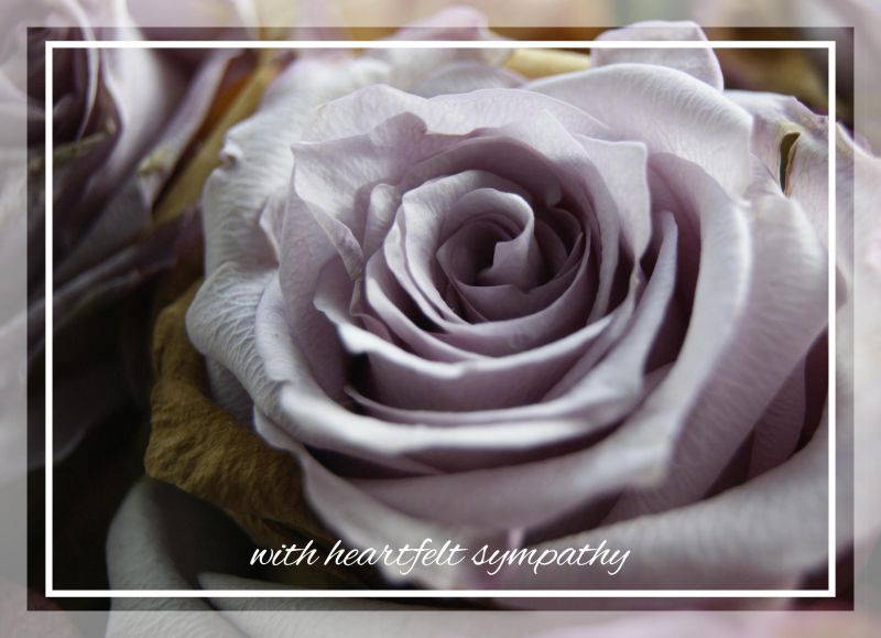 Sympathy Greeting Cards - S1601. Greeting Cards Featuring With Heartfelt Sympathy Written on Floral Background. Box Set Has 25 Greeting Cards and 26 Bright White Envelopes.