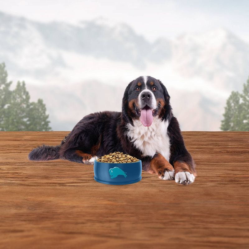 Blue Buffalo Wilderness Grain Free with Salmon Large Breed Adult Dry Dog Food - 24lbs