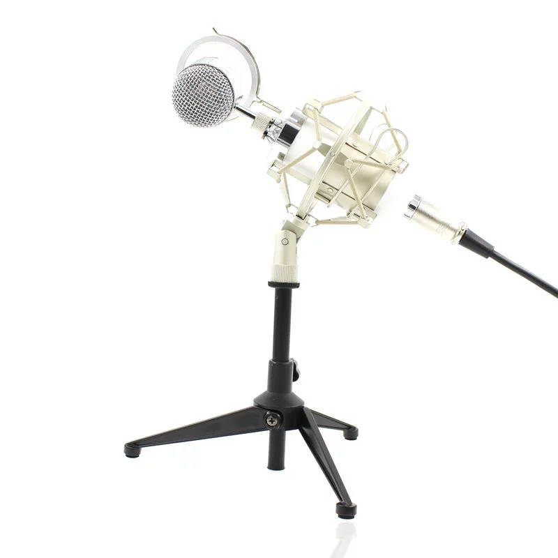 BM 8000 Professional Condenser Microphone bm8000 Audio Studio Vocal recording for Computer karaoke