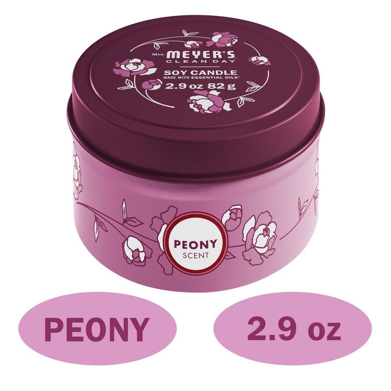 8.5oz Global Terracotta Jar Bohemian Lotus Candle - Opalhouse™