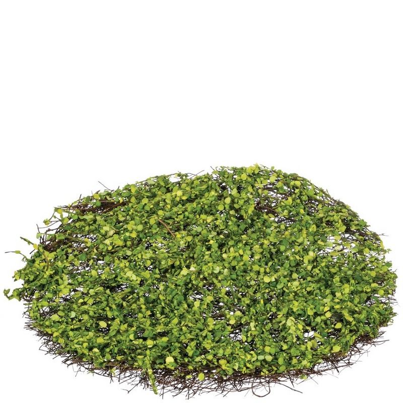 Sullivans Round Moss Pad Decorative Filler 1.5"H Green