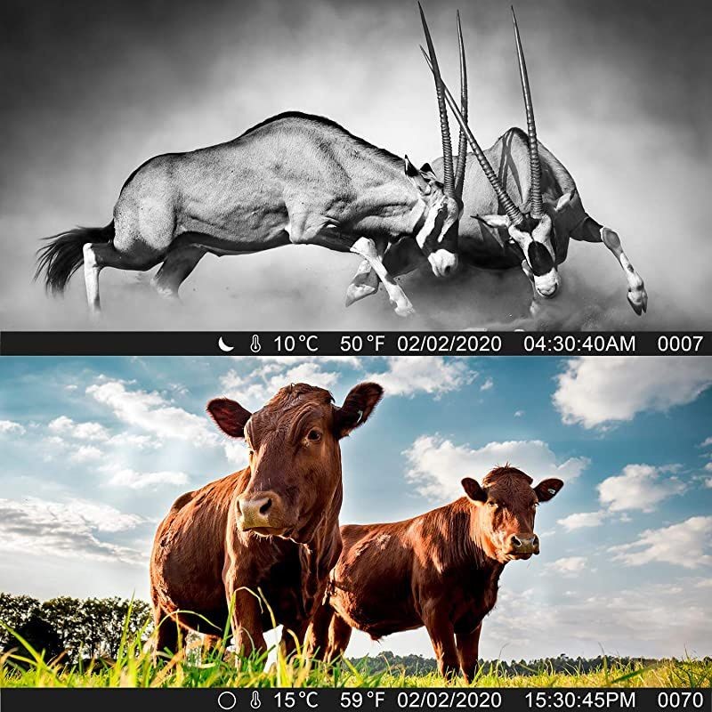 Trail Camera 20MP 1080P Game Cameras with Night Vision 2.4" LCD 130&deg; Detection Motion Activated Waterproof Deer Trap Cam for Hunting and Wildlife Monitoring