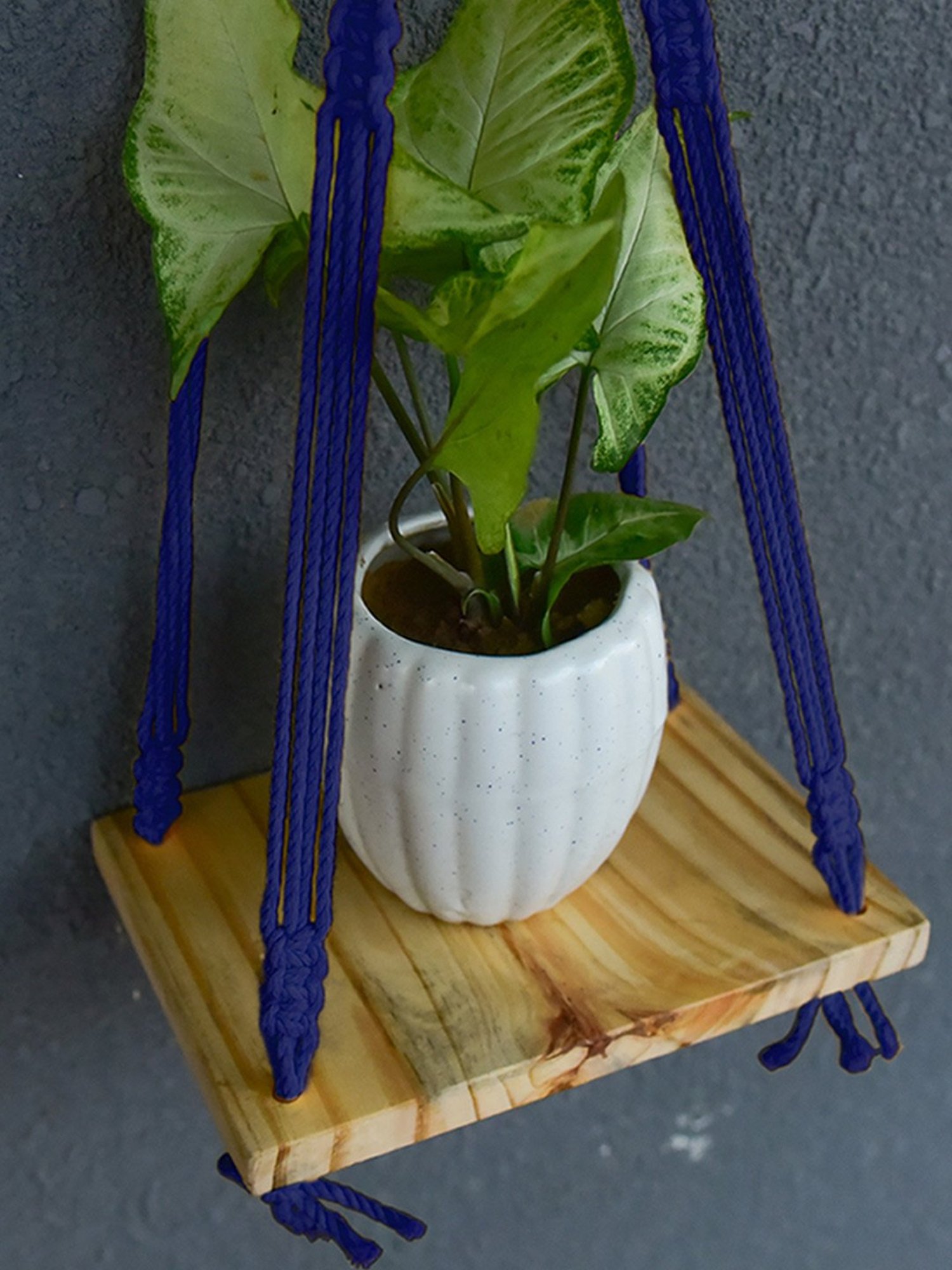 Gathari Macram&iquest; Blue Pine Wood Wall Hanging Shelf