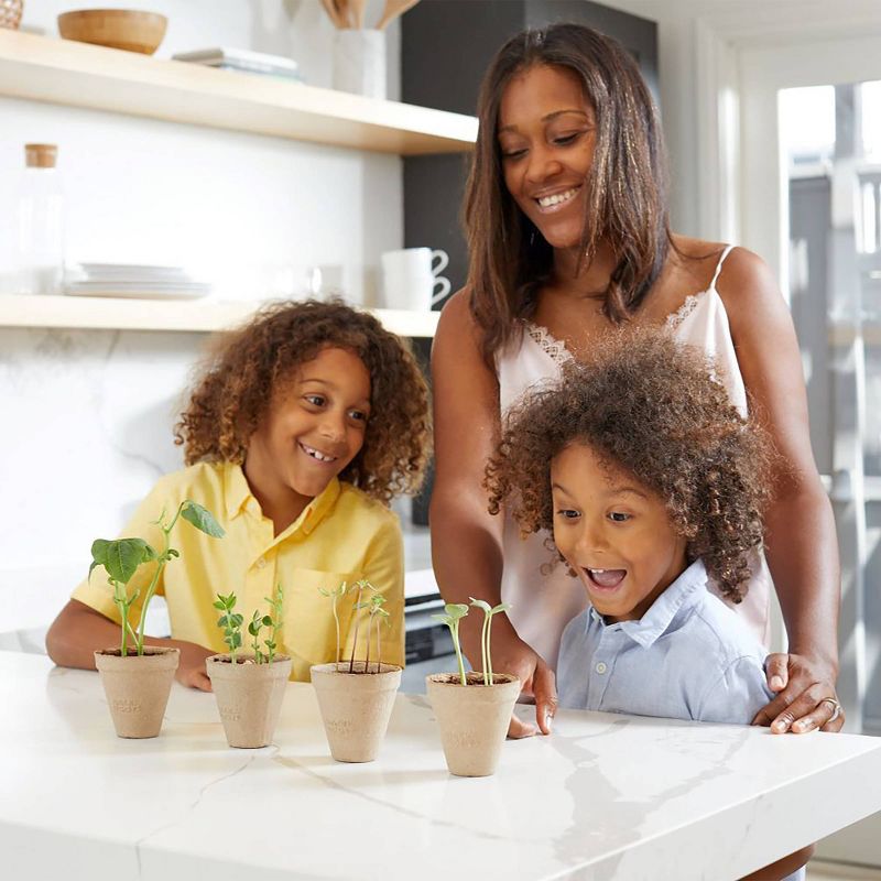 Back to the Roots Kids' Watermelon Science Grow Kit