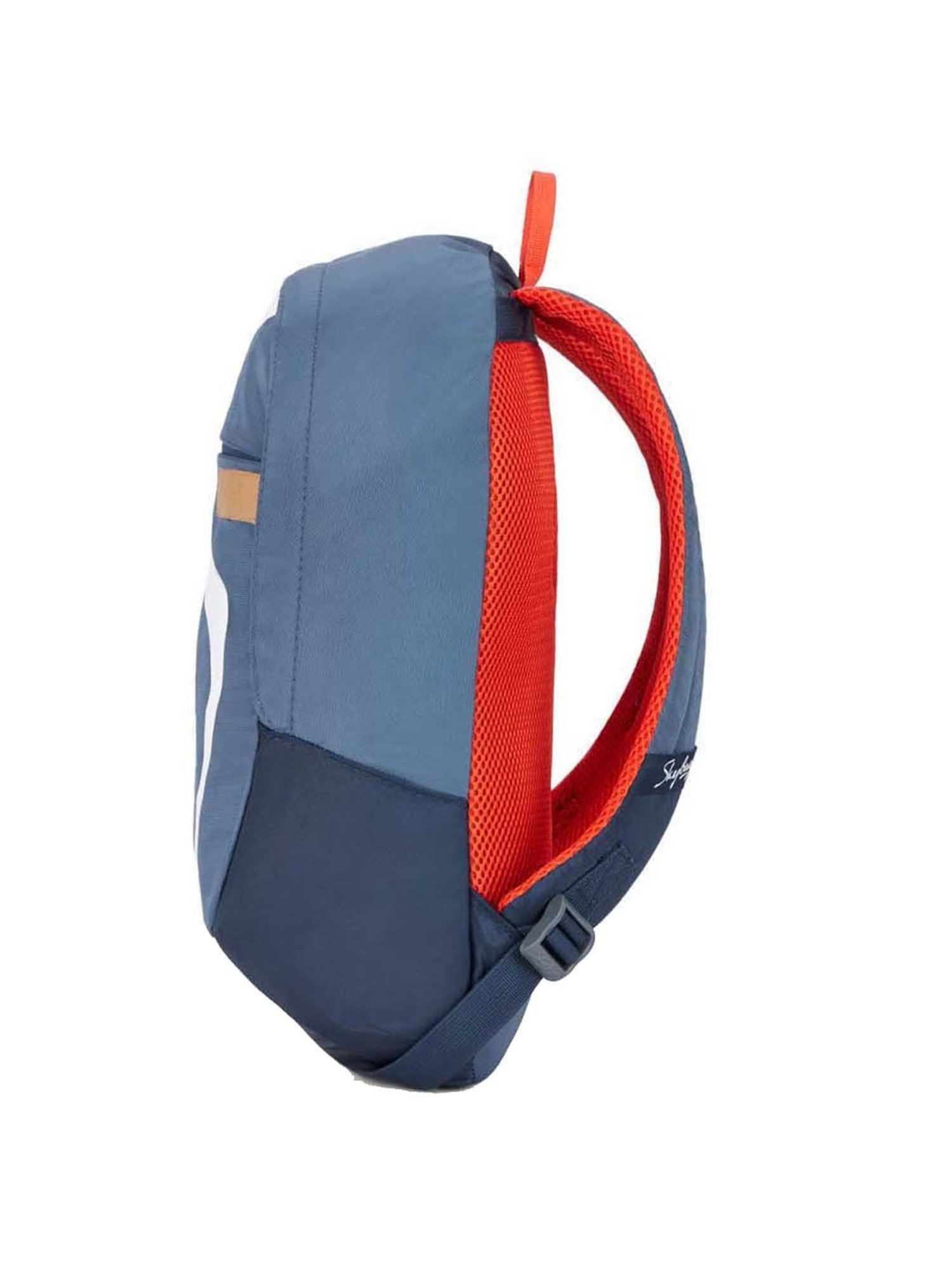 Skybags 17 Ltrs Blue Medium Backpack
