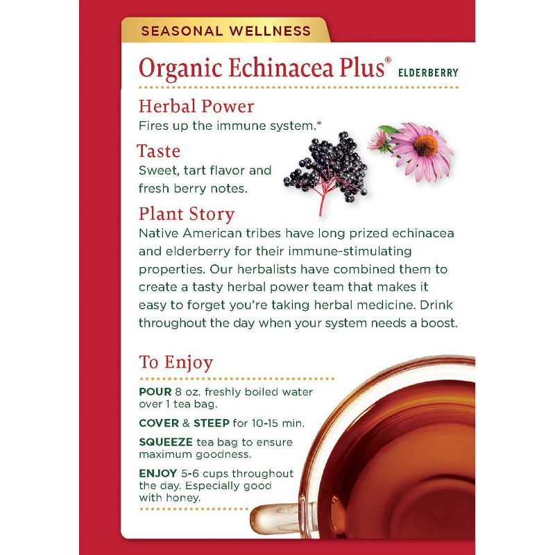 Traditional Medicinals Echinacea Plus Elderberry Organic Tea - 32ct