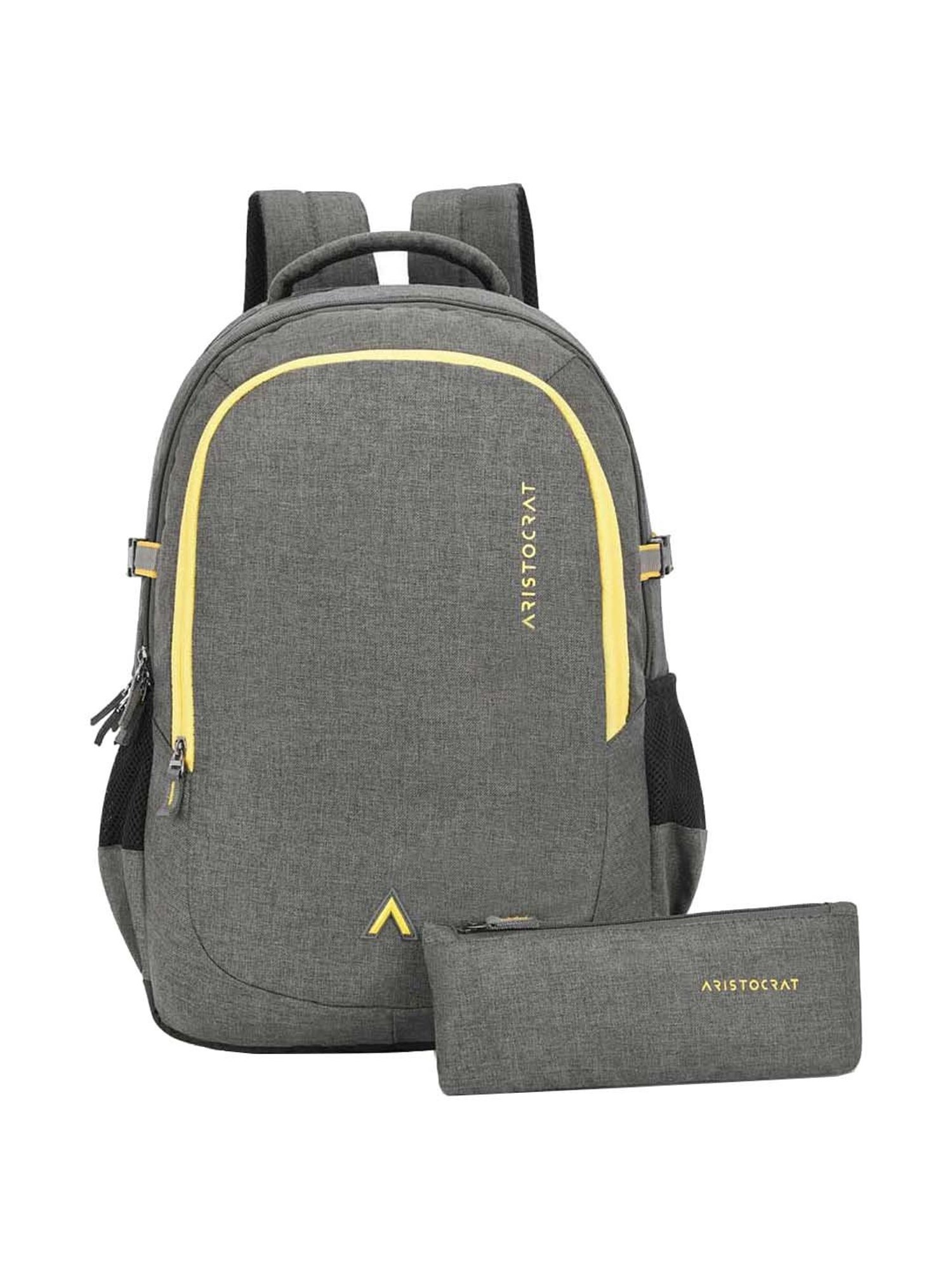 Aristocrat 32 Ltrs Grey Medium Backpack
