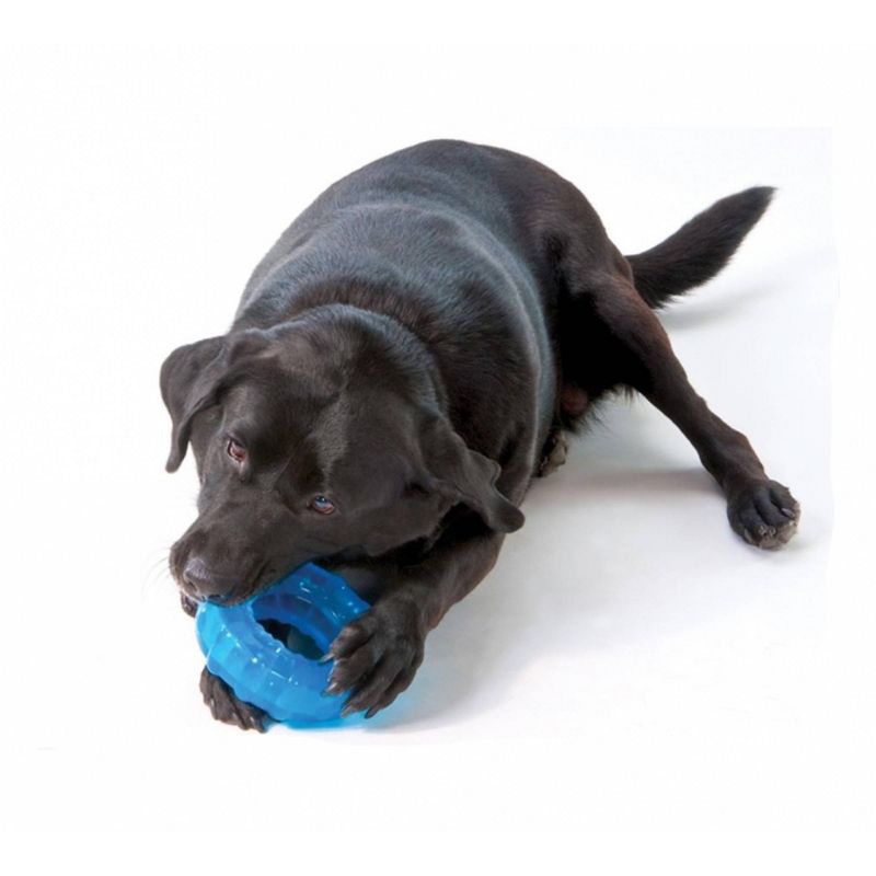 Petstages Orka Tire Dog Chew Toy