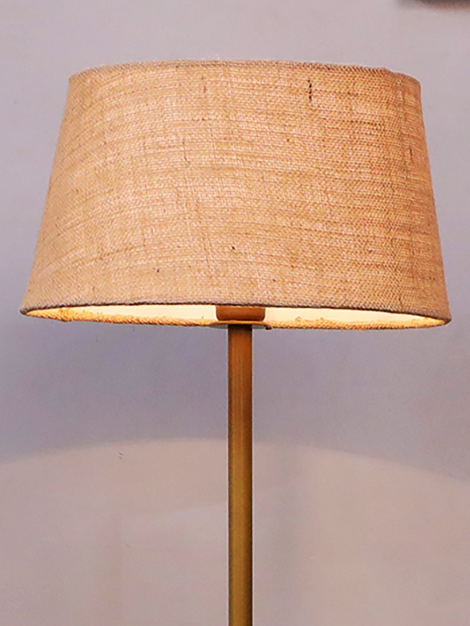 Homesake Beige & Golden Metal Standing Floor Lamp with Bulb and Floor Switch (Iron Legs)