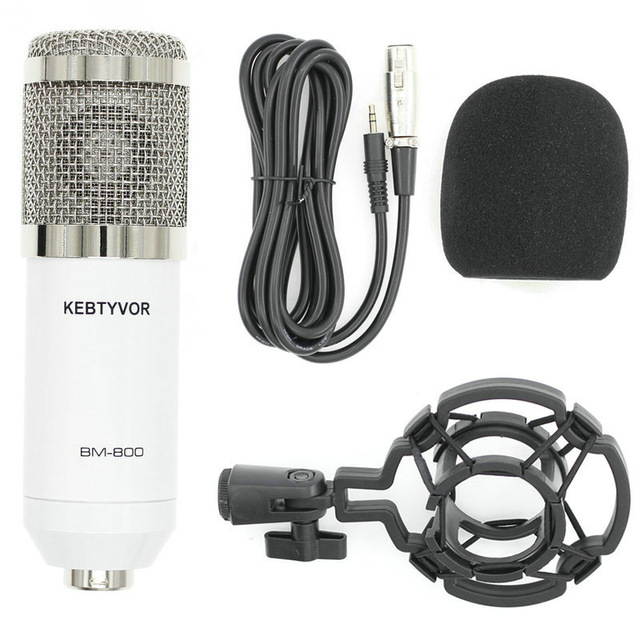 BM-800 Condenser Microphone, Cardioid Studio Recording Microphone with Shock Mount, XLR Cable