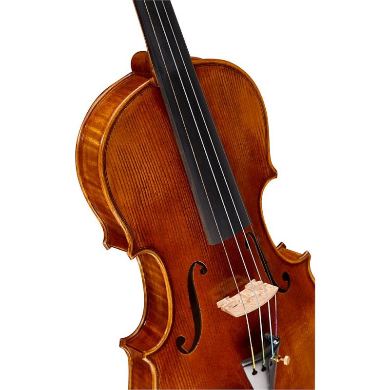 Ren Wei Shi Artist Model 2 Violin With Arcolla Bow and Bellafina Euro Case