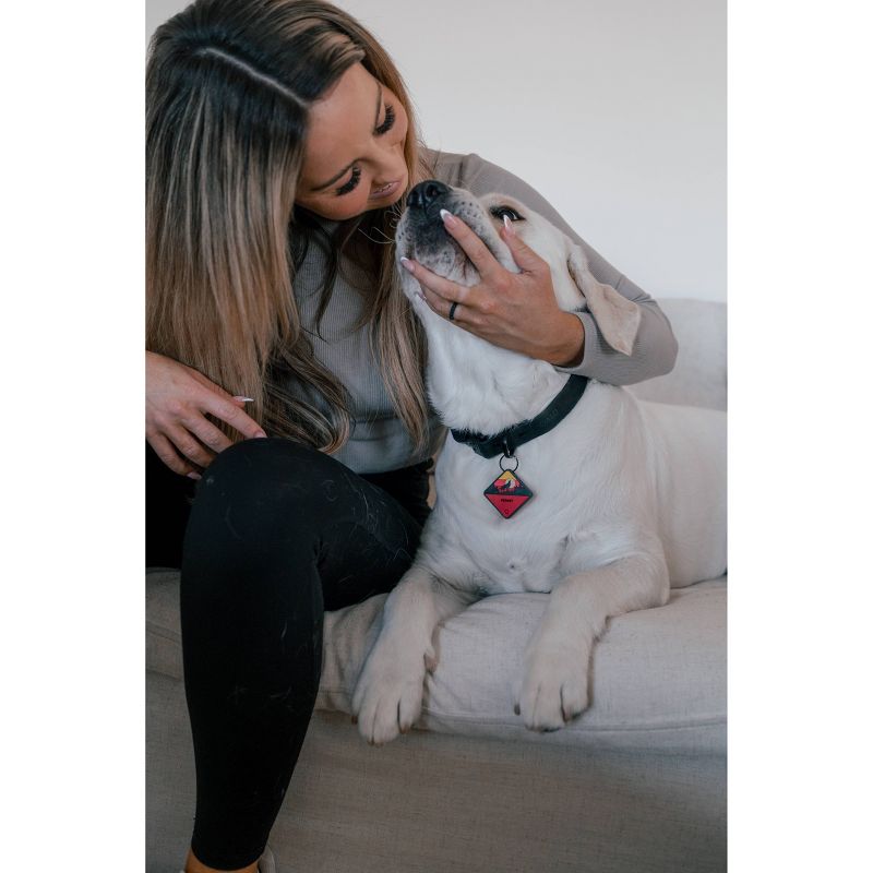 QALO Dog and Cat Tile Enabled Traq - Pink