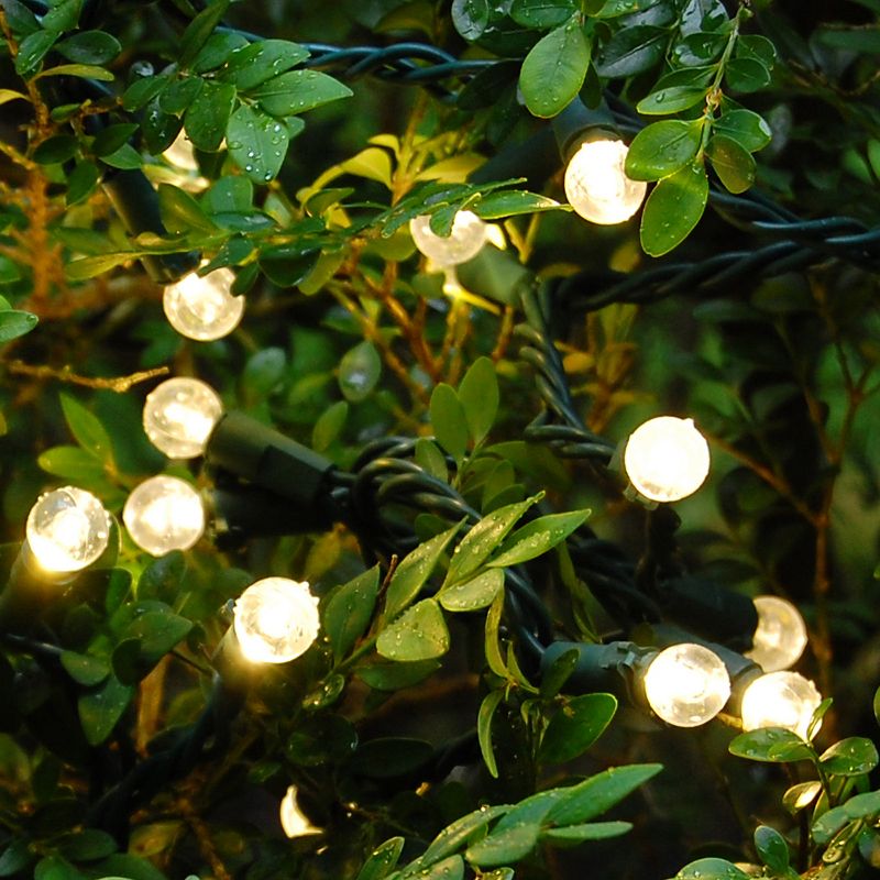 70 Lights Warm Electric LED Globe String Lights White