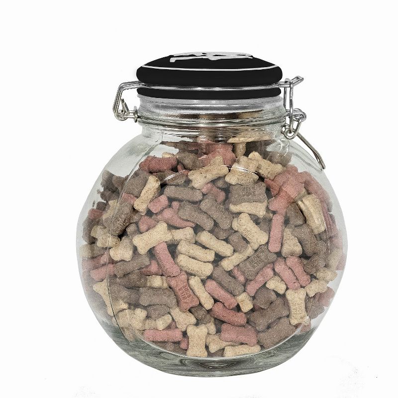 Amici Pet Love Space Saver Glass Food Canister, Turquoise, 72oz