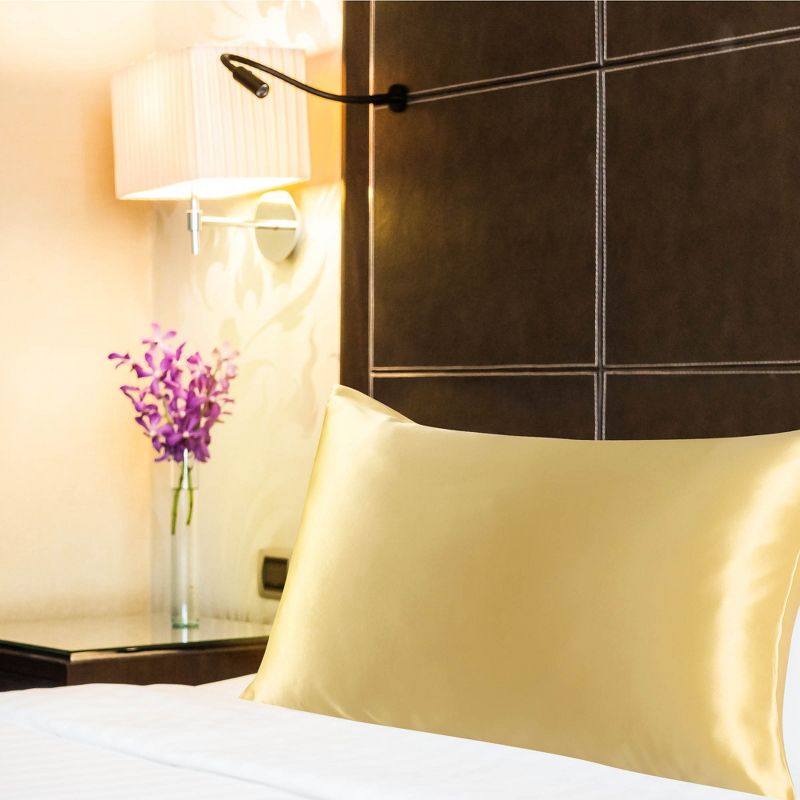 1 Pc Standard 100% Mulberry Silk Pillowcase Champagne - PiccoCasa