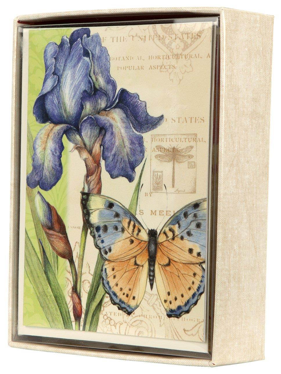 C.R. Gibson Blank Boxed Note Cards, 10-Count With Coordinating Envelopes, Measures 5" x 3.75" - Eden