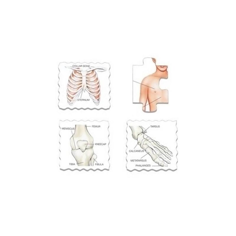 Larsen Puzzles The Body Kids Jigsaw Puzzle - 35pc