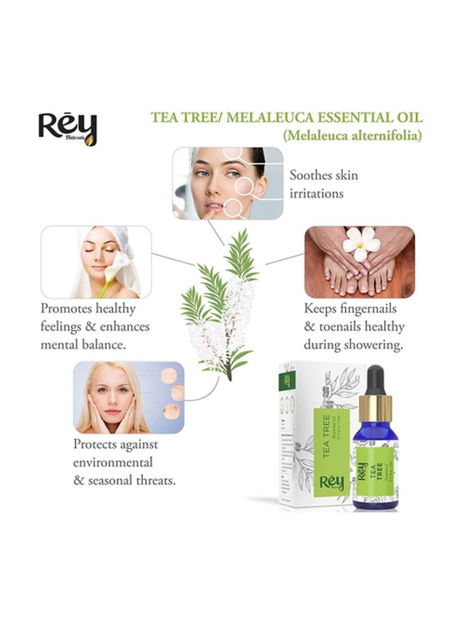 Rey Naturals Tea Tree Essential Oil Pack Of 2 - 30 ml