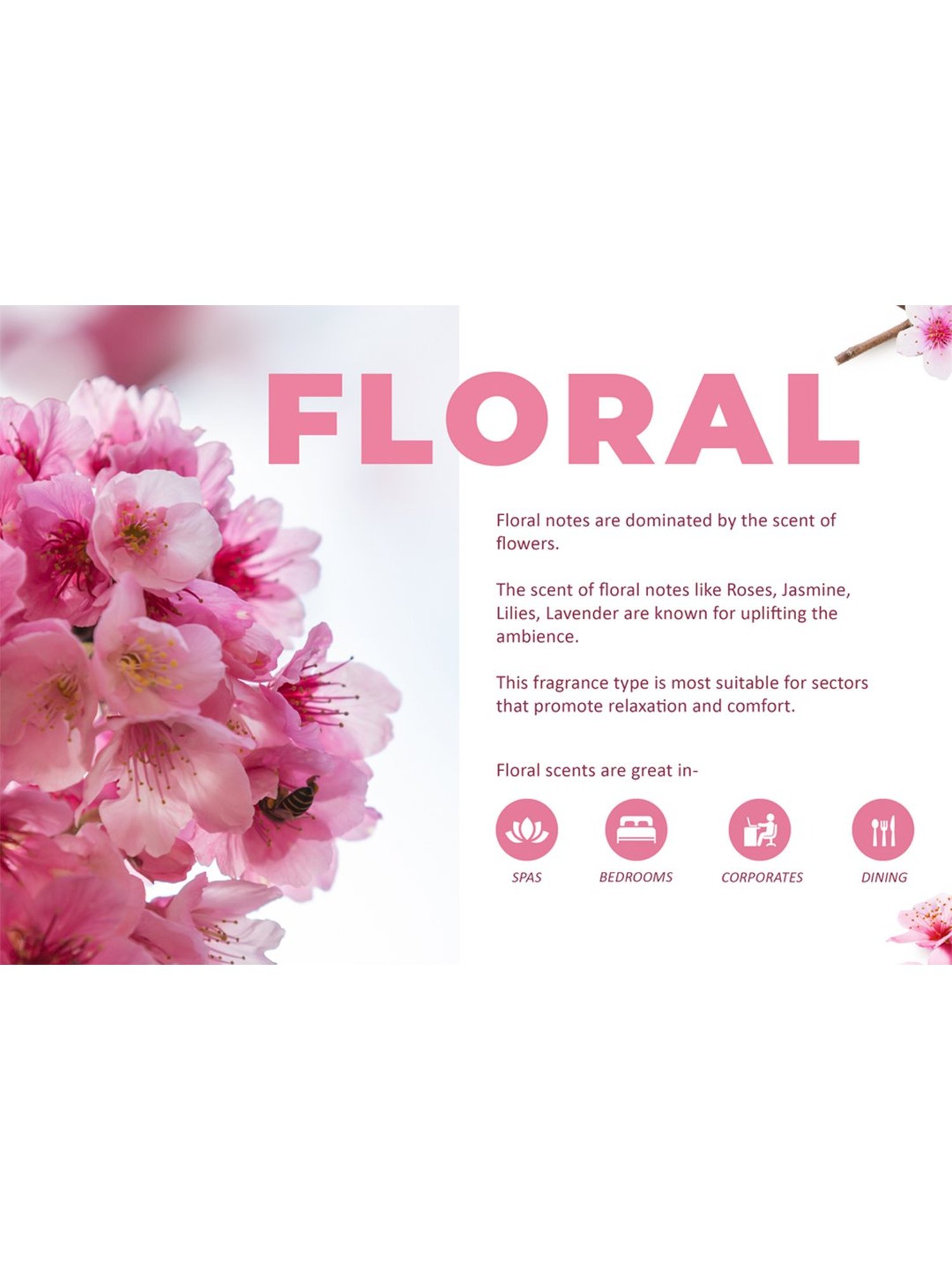 Scented Reed Diffuser Refill Oil Egyptian Cotton1 Litre