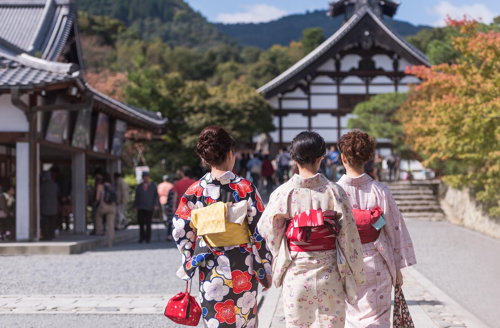 Oshiro 135mm f/2.8 LD UNC AL Full Frame Telephoto Lens for Olympus Micro 4/3 PEN E-M1, E-M5, E-M10, E-PL7, E-P5, E-PL5, E-PM2, E-P1, E-P2, E-PL1, E-PL1s, Micro Four Thirds Mirrorless Digital Cameras