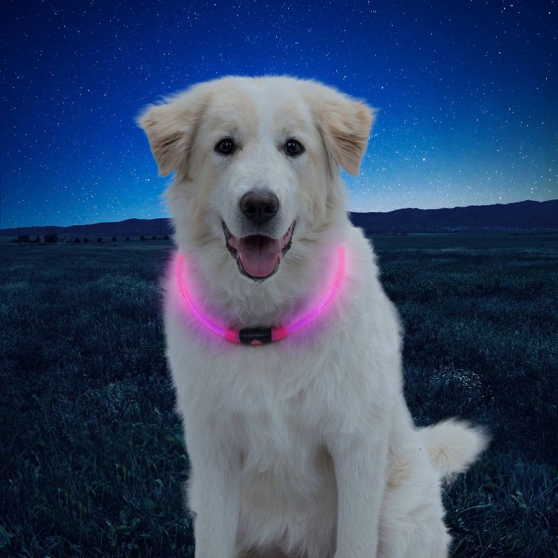 Nite Ize Howl LED Safety Necklace Dog Collar - Pink